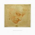 054-Michelangelo studio di volto